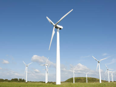 sustainability