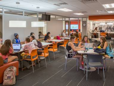 University of Florida Case Study