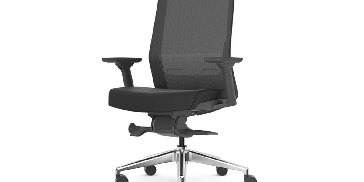 Amq zilo chair best sale