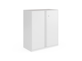 Double Swing Door Cabinet