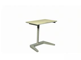 Vanerum Pupil Desk on a white background