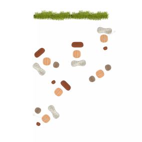 Planning Idea