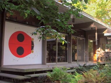 Large ladybug design on the wall next to doorwall