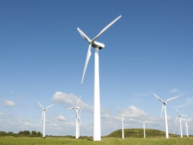 Sustainability