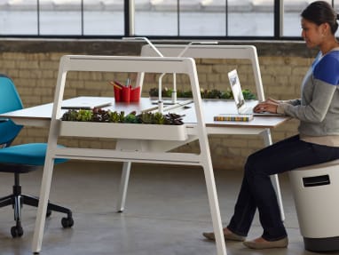 Woman working on a laptop while sitting on a Buoy Active Sitting Task Chair at a Bivi Desk