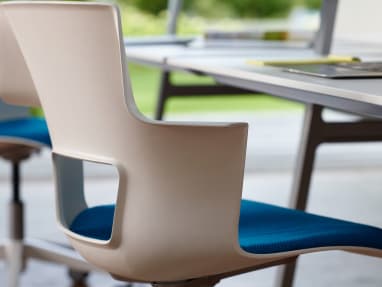 Close-up of a White Shortcut with Blue Jay Seat