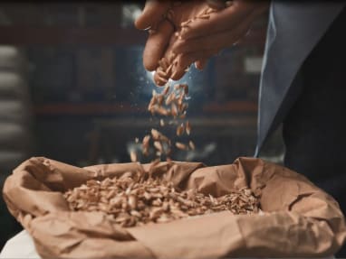 A handful of grain is poured into a sack full of grain