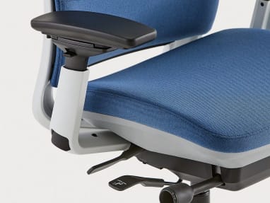 Steelcase Amia Ergonomic Office Chair with Adjustable Back Tension and Arms  | Flexible Lumbar with Sliding Seat | Black Frame and Buzz2 Black Fabric
