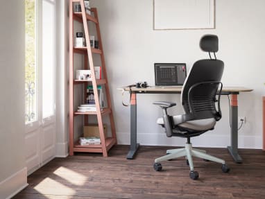 Leap and Solo Sit-to-Stand Environment
