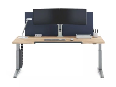 Ology Rectangular Desk