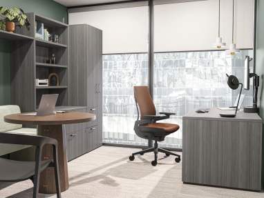 Private office featuring gesture chair with big window behind
