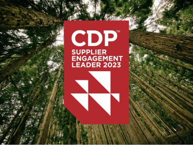 CDP Supplier Engagement Leader 2023 award banner over a forest background