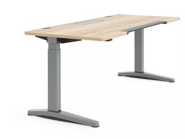 Ology Rectangular Desk