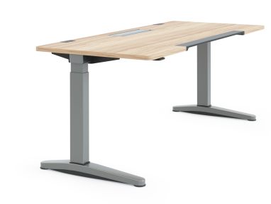 Ology Rectangular Desk