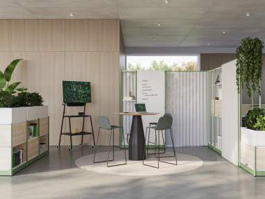 Steelcase Flex Active Frames Beyond in Office Environment