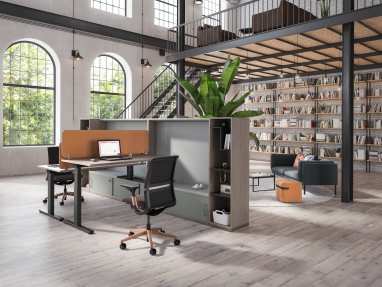 EMEA Migration SE and Share It Collection in an office environment