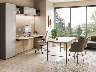 Elective Elements Executive Private Office