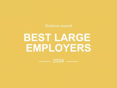 Banner for Best Large Employers award
