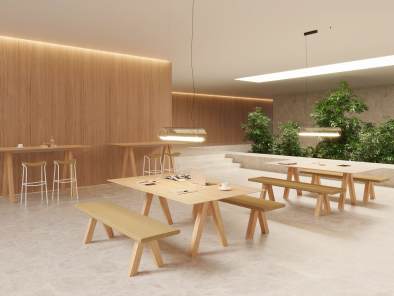 Viccarbe Trestle Bench & Table in office environment