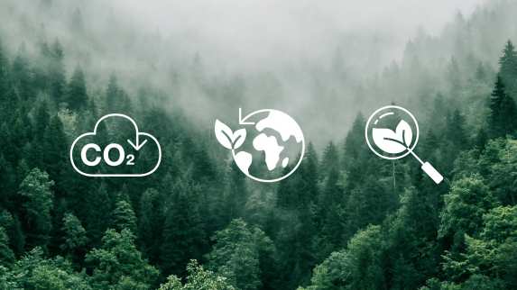 Sustainability Impact banner