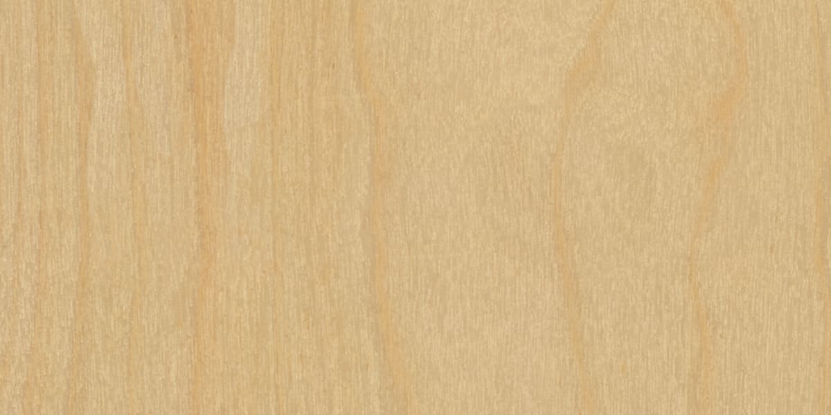 Baltic Birch Steelcase