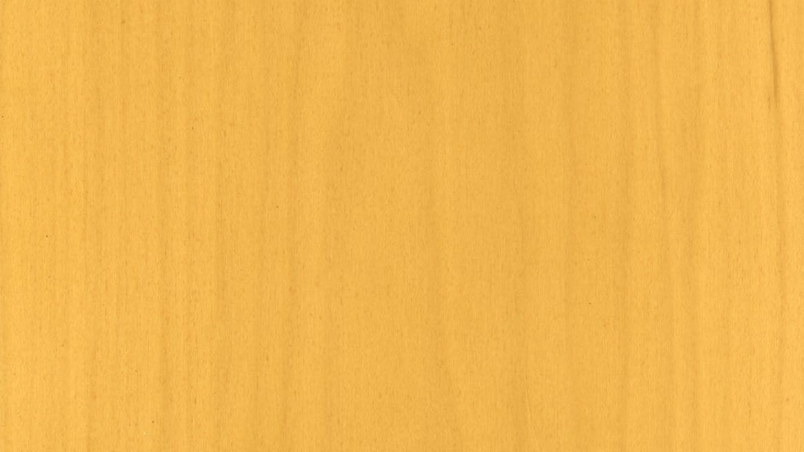 Wood Divina 3 3592 Blonde on Maple