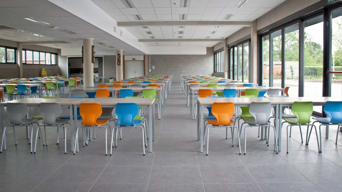 Vanerum Solifiber chairs in a learning environment