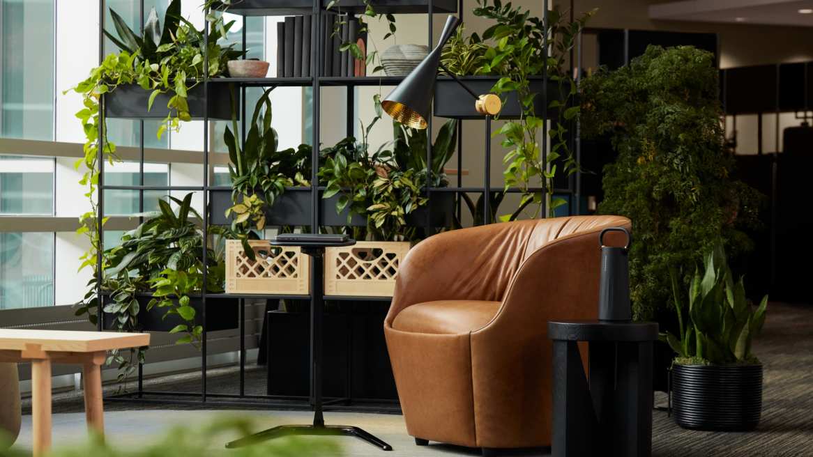 West Elm Willow
