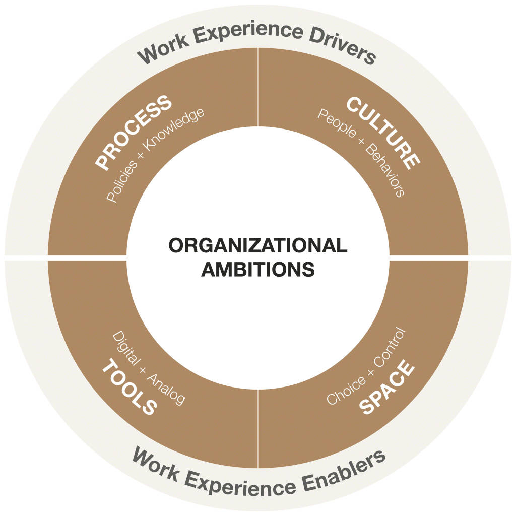 Organizational ambitions diagram
