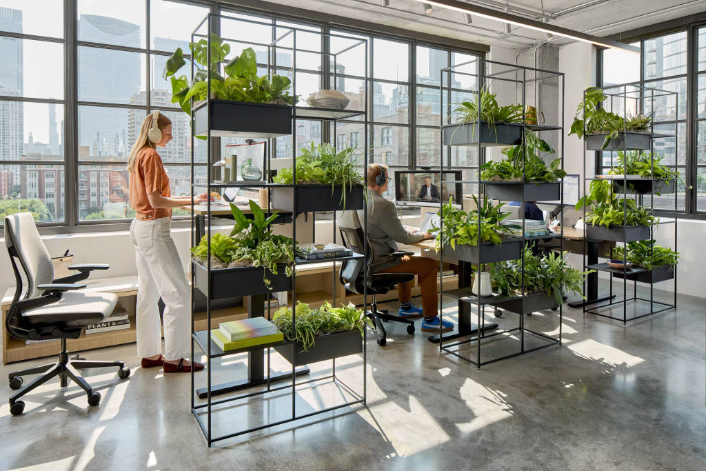 Modern biophilic office design featuring Steelcase Gesture ergonomic task chairs, height-adjustable workstations and collaborative workspace solutions, with integrated greenery supporting employee wellbeing, productivity and hybrid work.