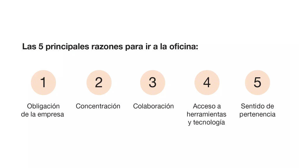 Graphic showing the top five reasons people work in the office: work requirements, focus, collaboration, access to tools and technology, and sense of belonging.