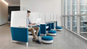 lakeland community college case study Brody