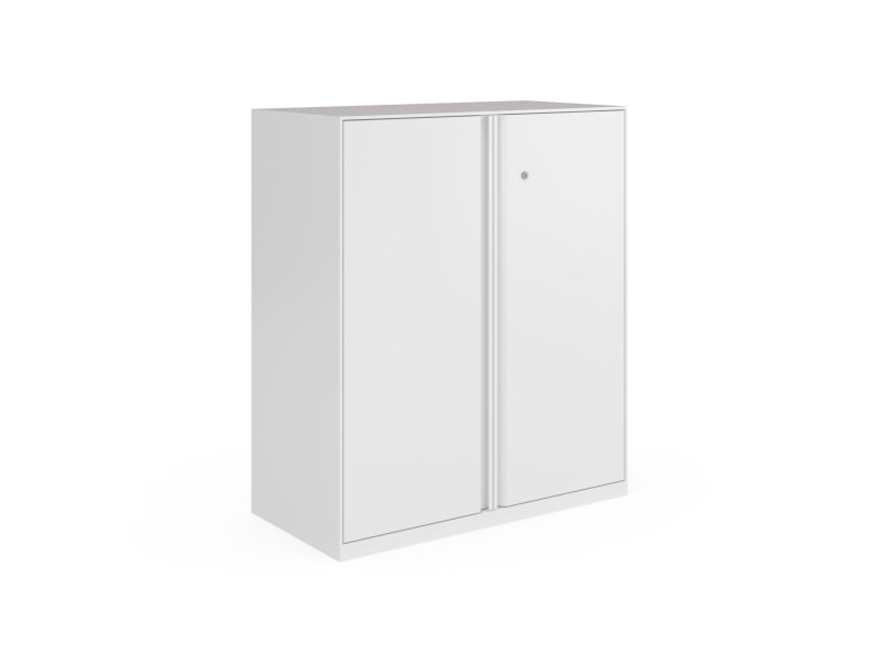 Double Swing Door Cabinet
