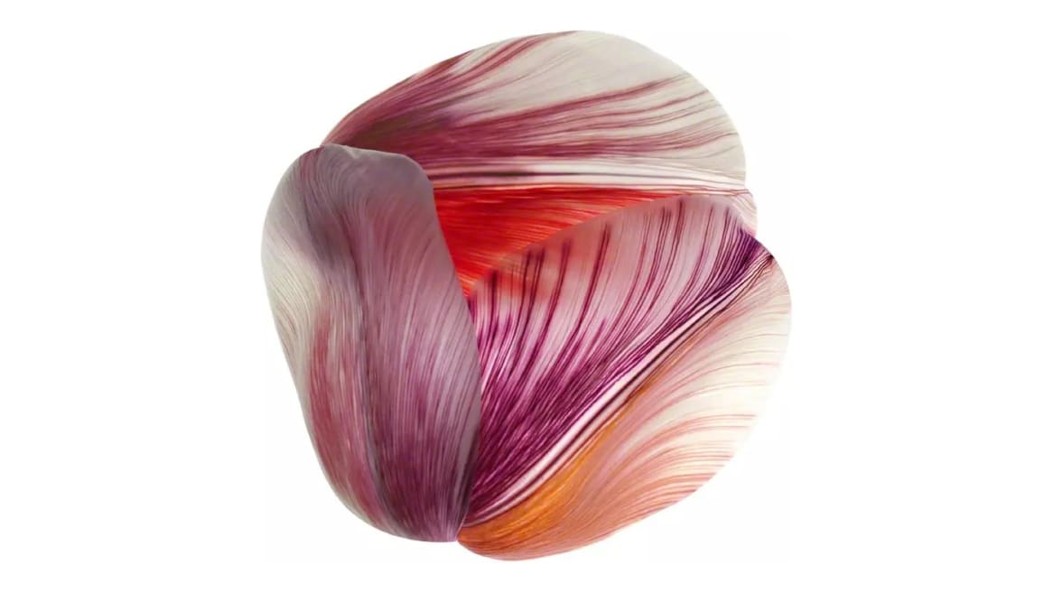 Tulip Mania Red Shell