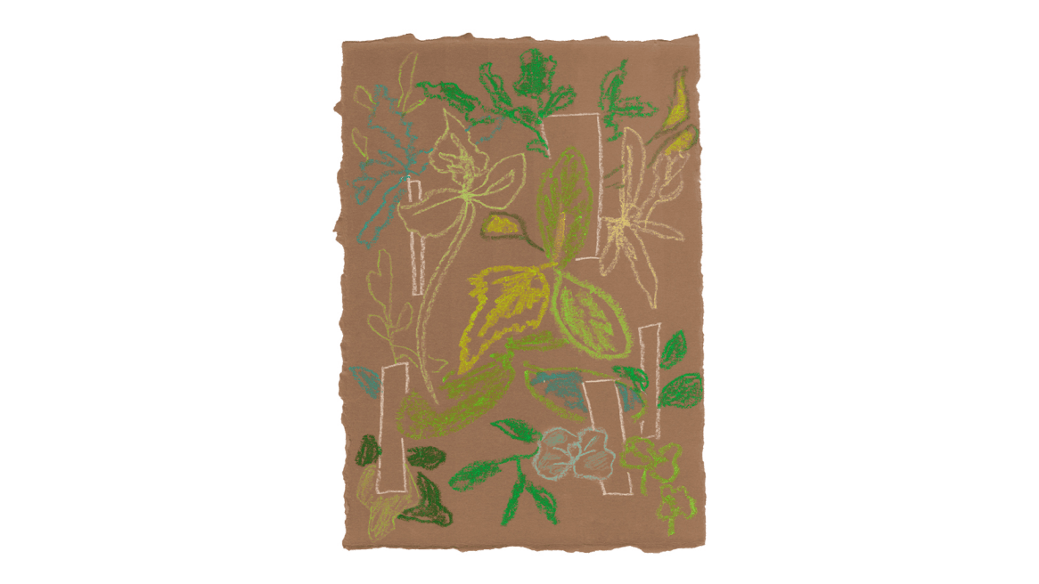 Handwriting Sprouts Sand