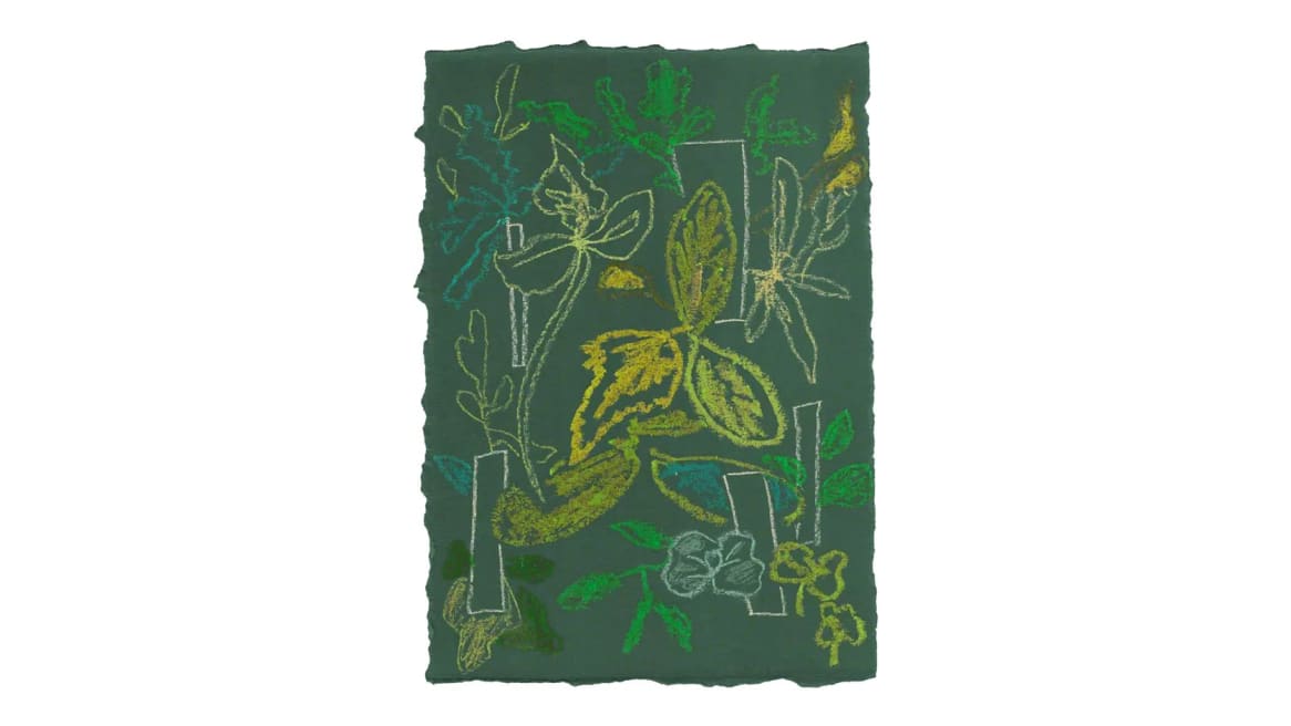 Handwriting Sprouts Leaf