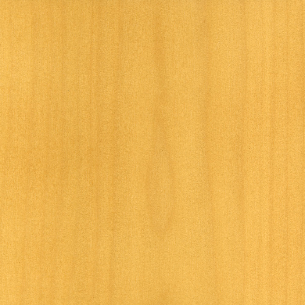 Blonde on Maple - Steelcase