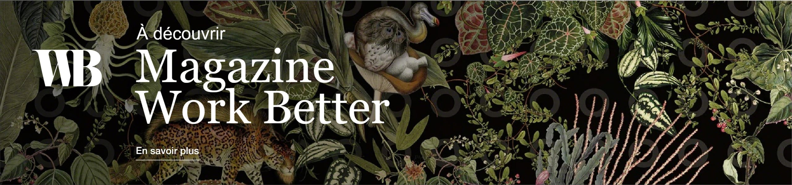 The Design Issue