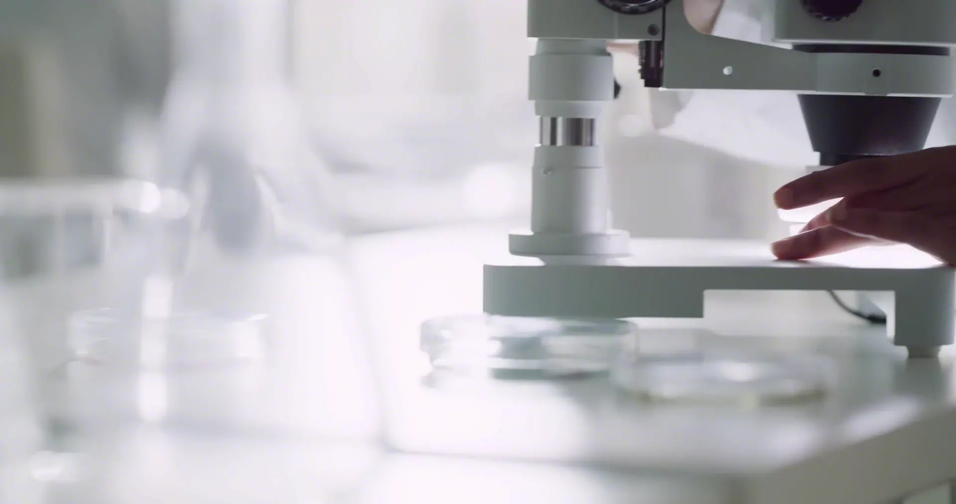 Redesigning Pharma and Biotech Offices to Fuel Innovation and Adapt to Change